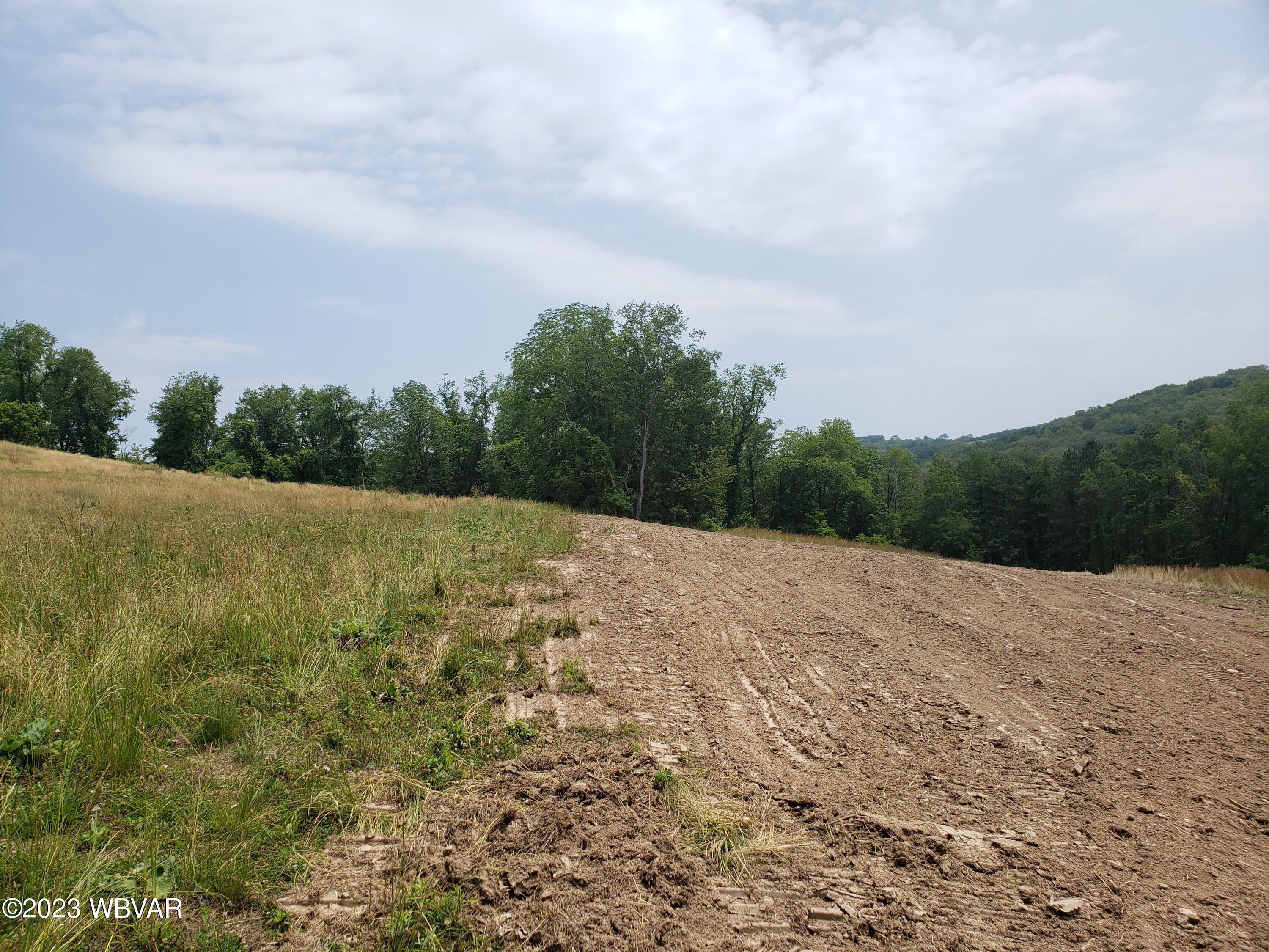 Bloomingrove Road, Unit 3 Cogan Station, PA 17728 - Photo 6 of 12 20230619_124530