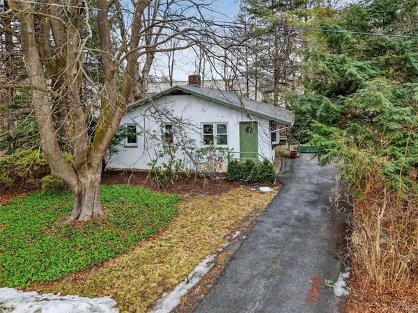 a backyard of a house with plants and large tree