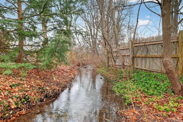a view of a garden with plants
