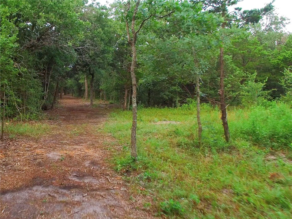 10402 Parsons Road Manor, TX 78653 - Photo 1 of 1