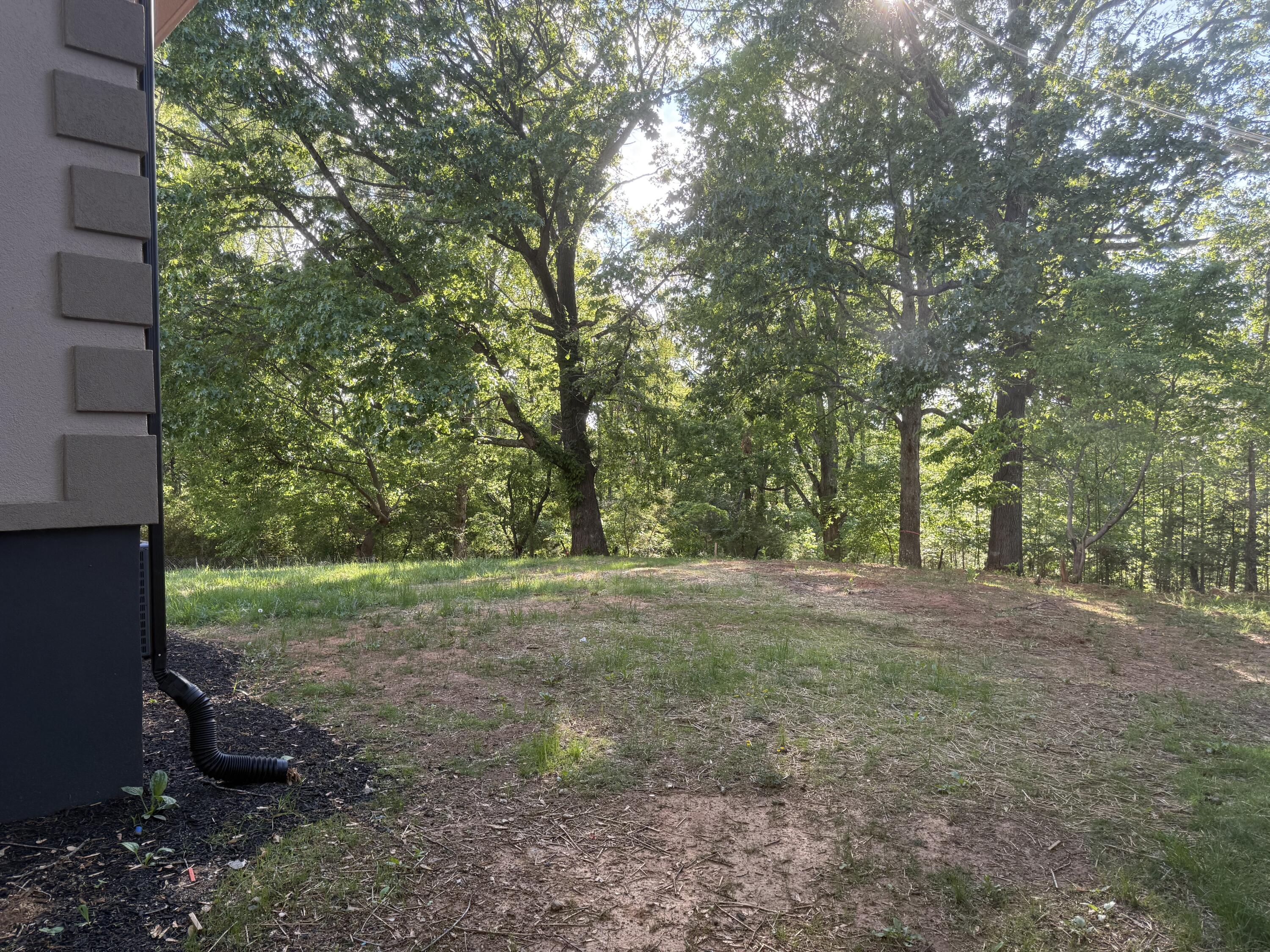 3633 Morgans Mill Road Goodview, VA 24095 - Photo 25 of 28 Back Yard