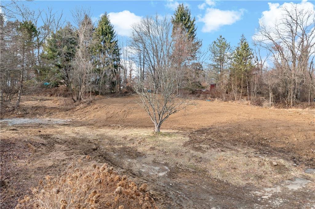 235 Murdocksville Road Clinton, PA 15026 - Photo 16 of 42 a view of empty yard with trees