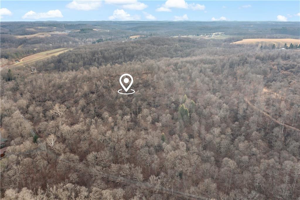 235 Murdocksville Road Clinton, PA 15026 - Photo 30 of 42 a view of a dry yard with wooden floor