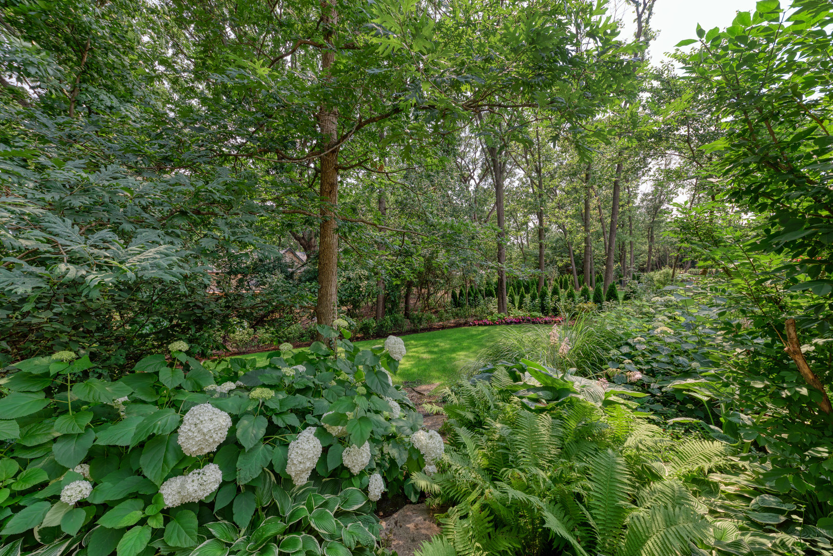136 Circle Ridge Drive Burr Ridge, IL 60527 - Photo 13 of 38 a view of a lush green forest