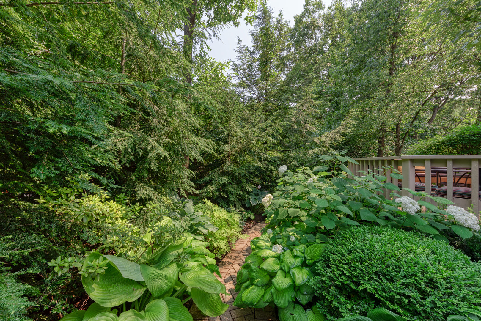 136 Circle Ridge Drive Burr Ridge, IL 60527 - Photo 15 of 38 a backyard of a house with lots of green space