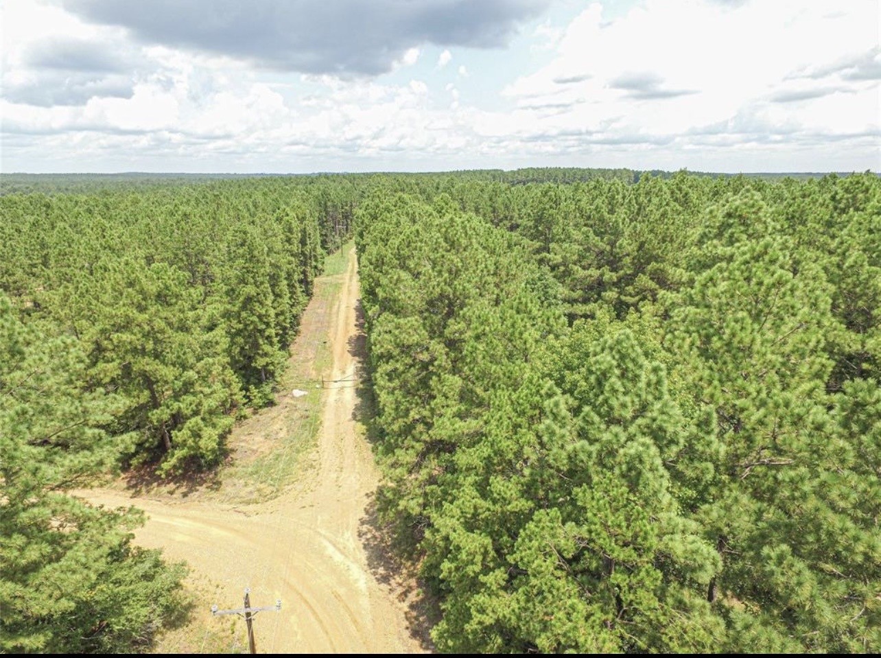 Tbd Hickman Road Corrigan, TX 75939 - Photo 4 of 7