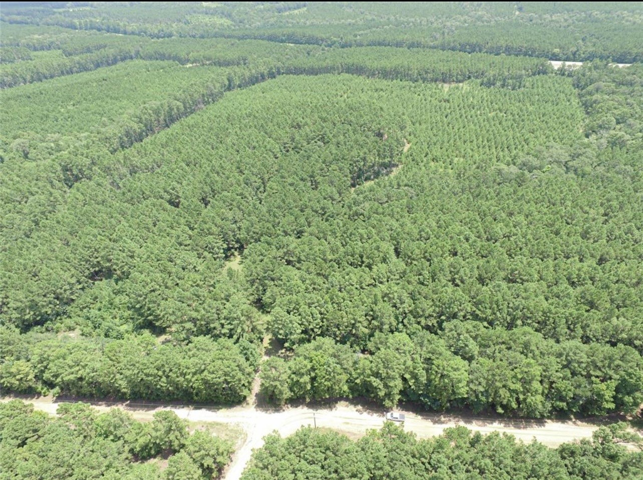 Tbd Hickman Road Corrigan, TX 75939 - Photo 5 of 7