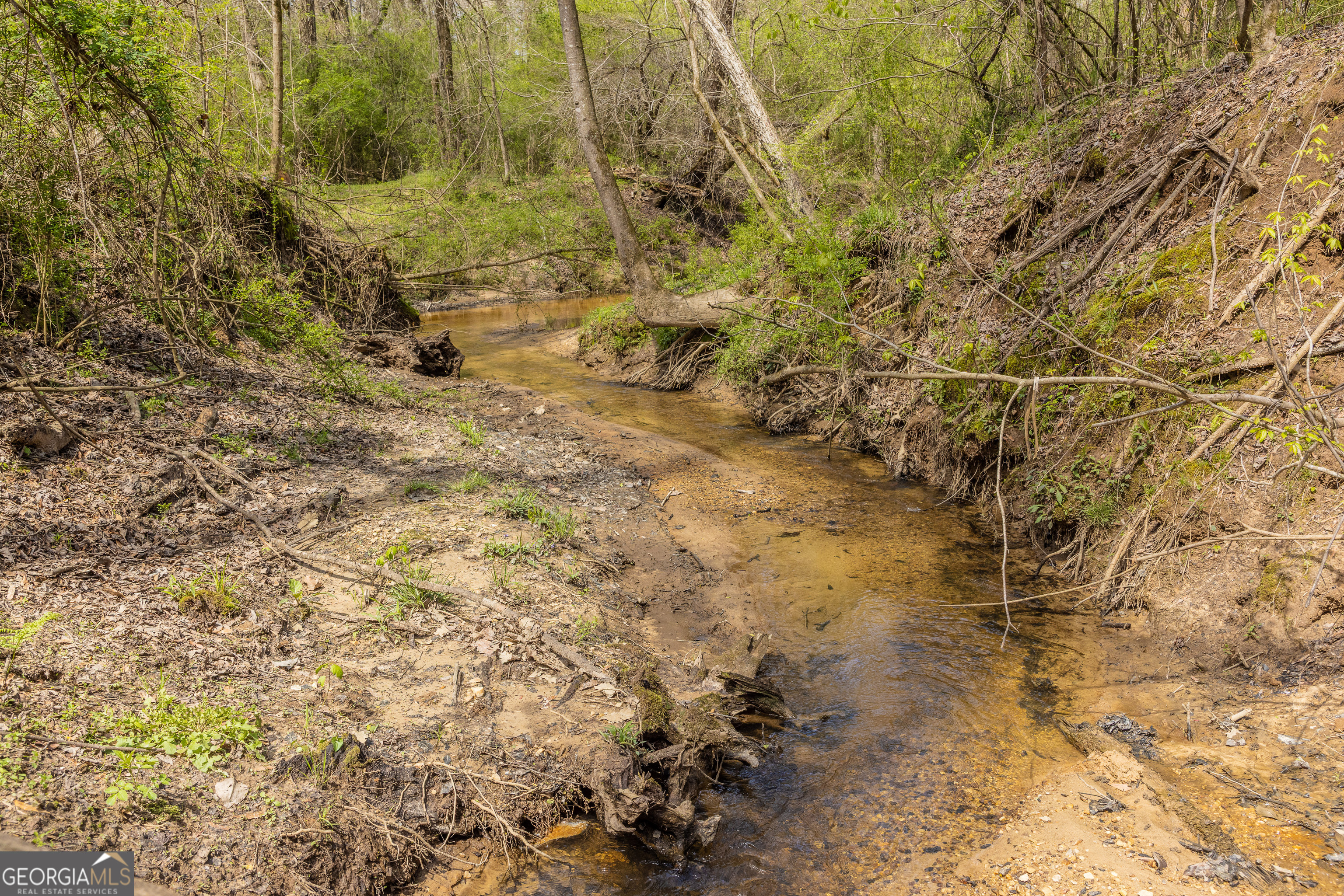 647 Pine Valley Road Meansville, GA 30256 - Photo 30 of 92 a view of a yard with a tree