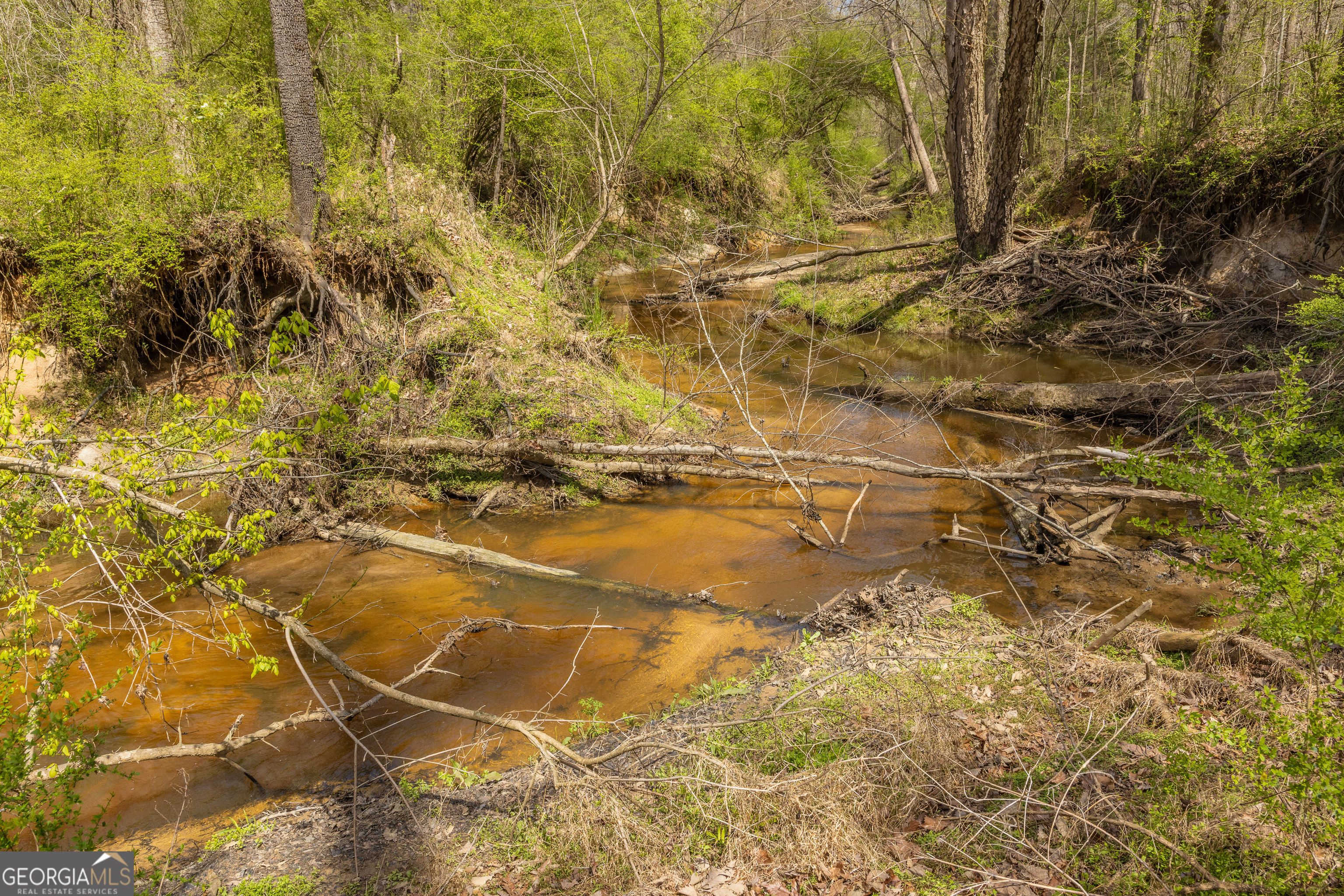 647 Pine Valley Road Meansville, GA 30256 - Photo 31 of 92