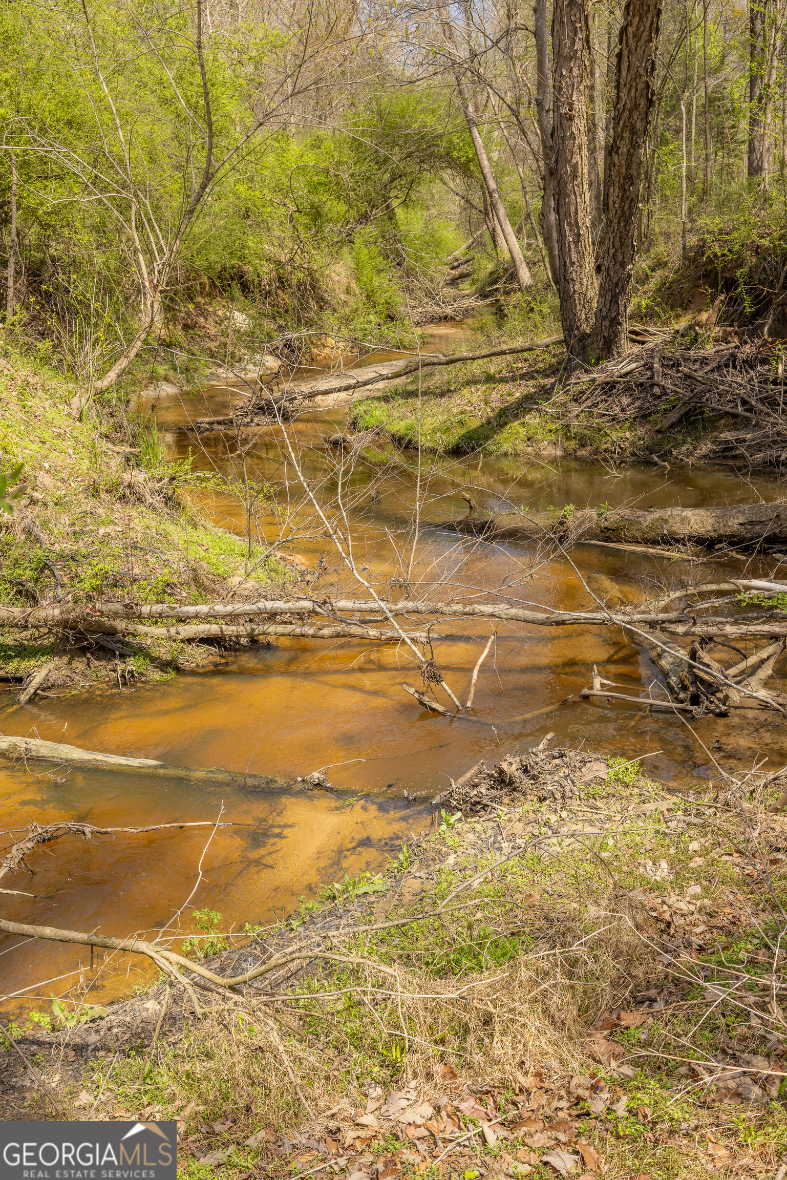 647 Pine Valley Road Meansville, GA 30256 - Photo 39 of 92