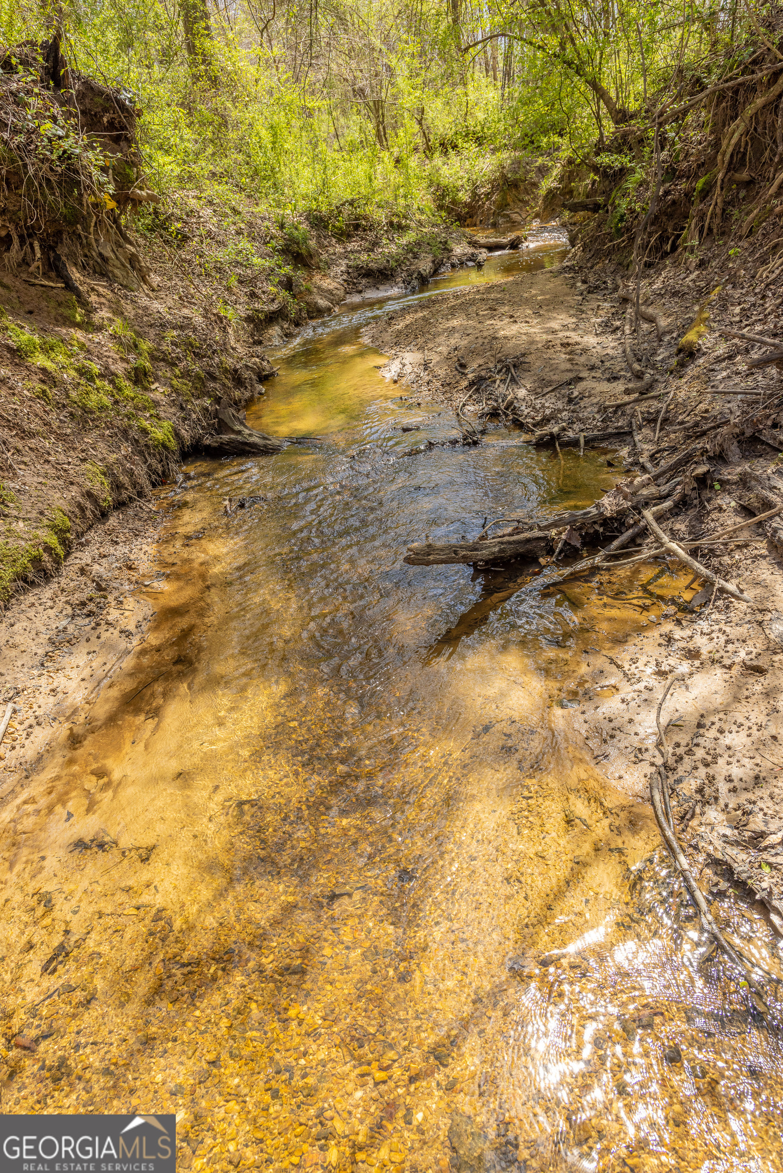 647 Pine Valley Road Meansville, GA 30256 - Photo 44 of 92