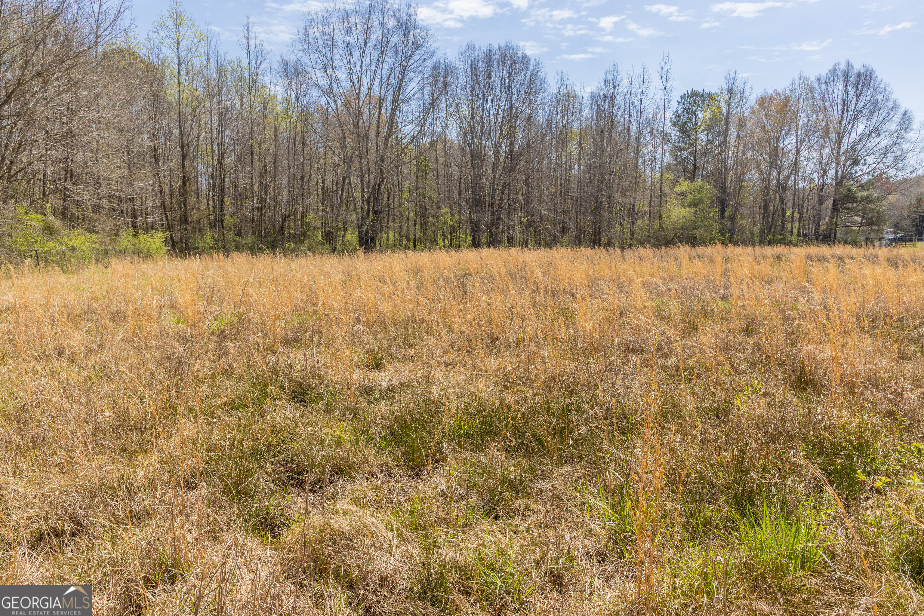 647 Pine Valley Road Meansville, GA 30256 - Photo 87 of 92 a view of a yard covered with snow in the background