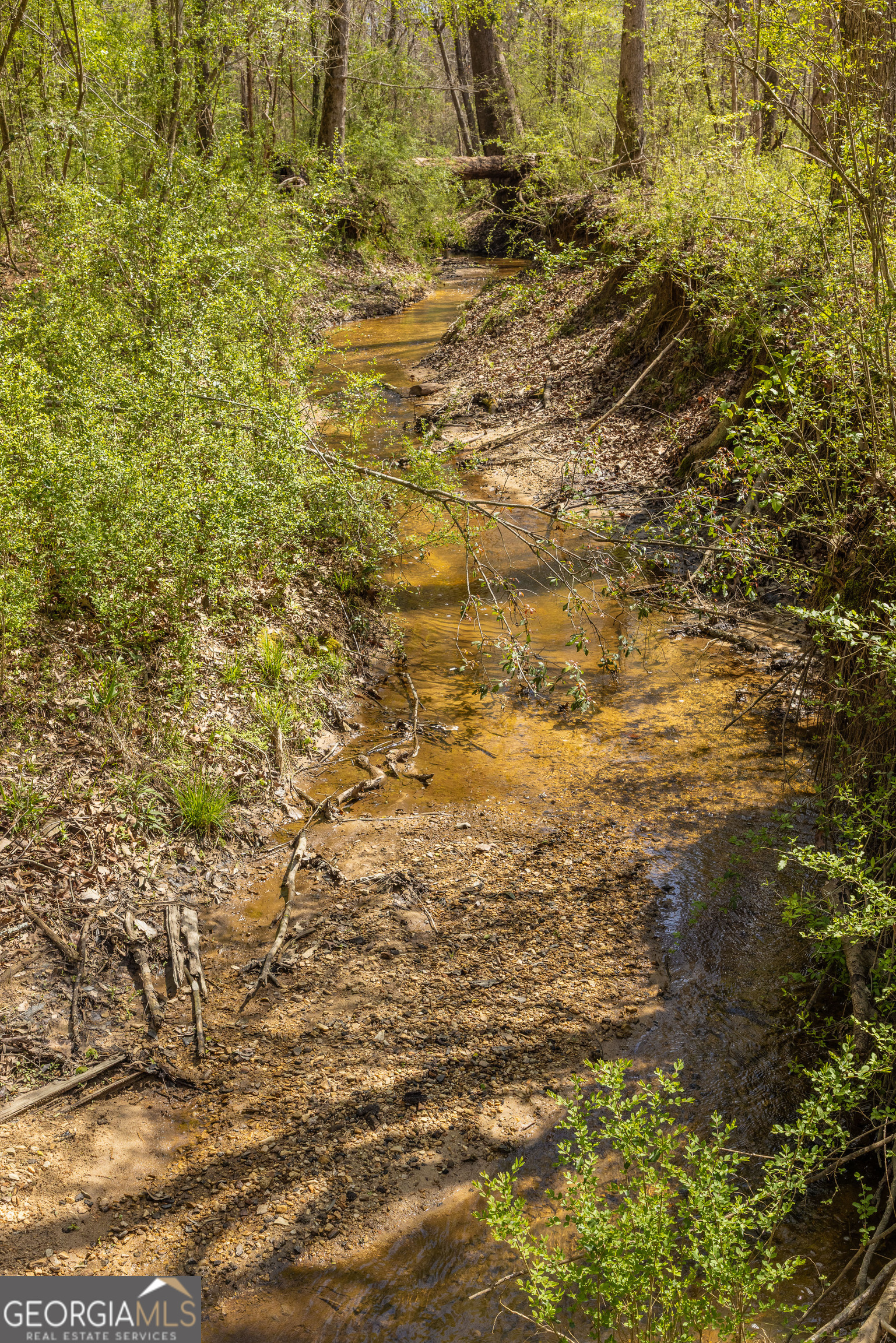 647 Pine Valley Road Meansville, GA 30256 - Photo 88 of 92