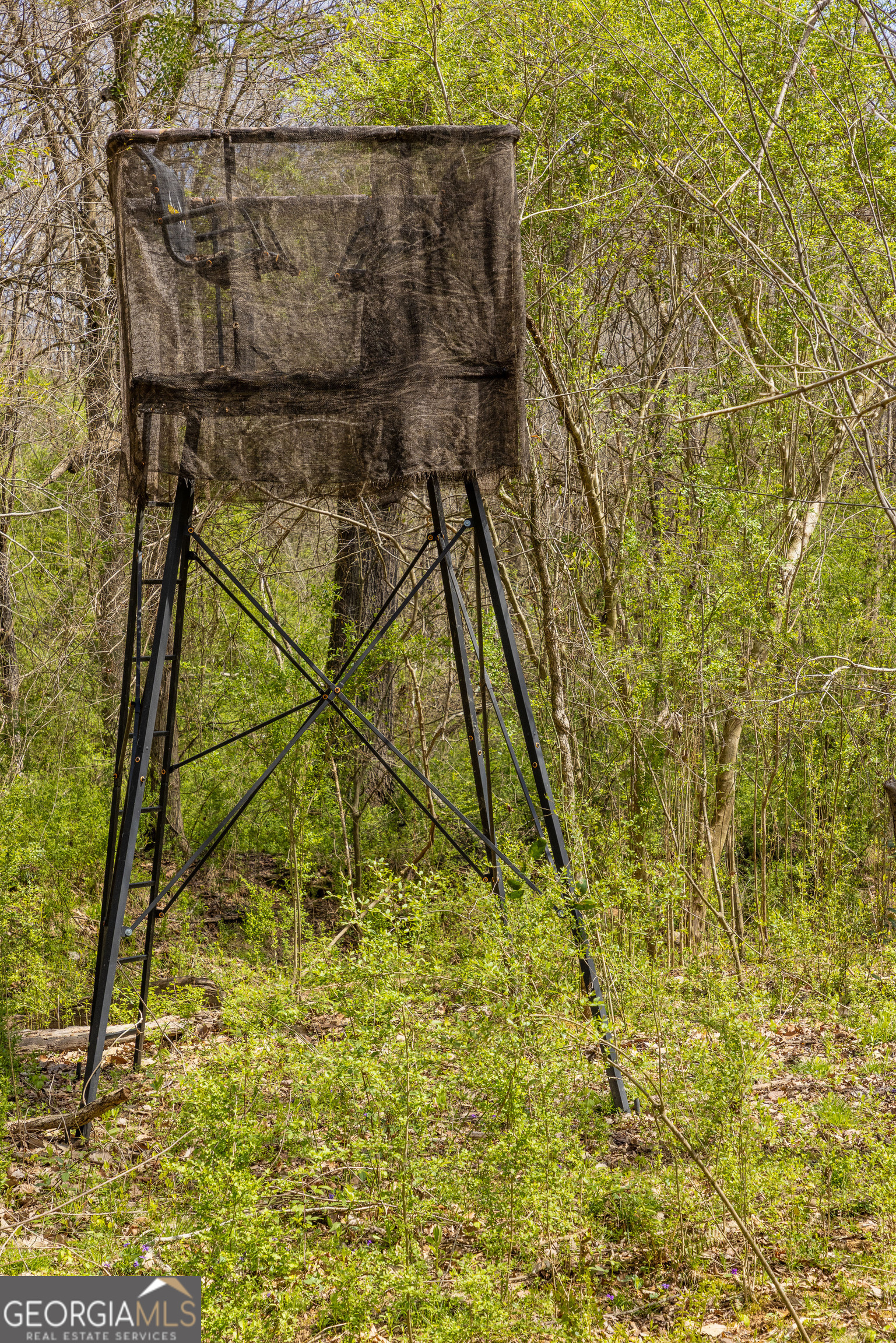 647 Pine Valley Road Meansville, GA 30256 - Photo 89 of 92