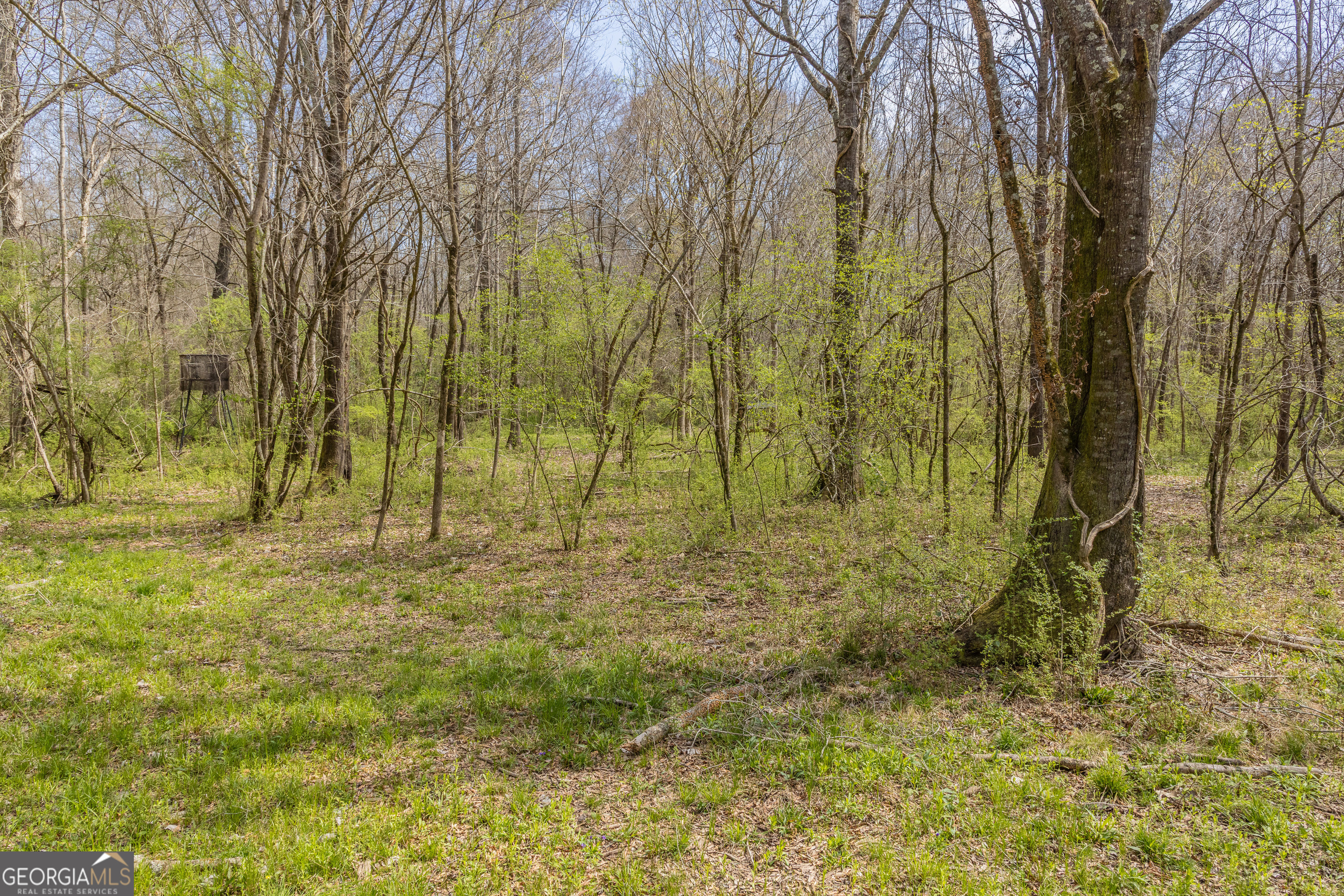 647 Pine Valley Road Meansville, GA 30256 - Photo 90 of 92