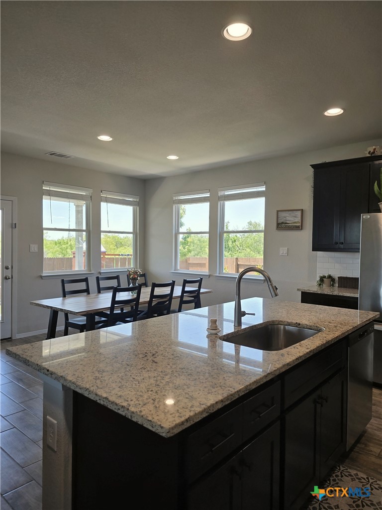 236 Blue Agate Court Jarrell, TX 76537 - Photo 6 of 21
