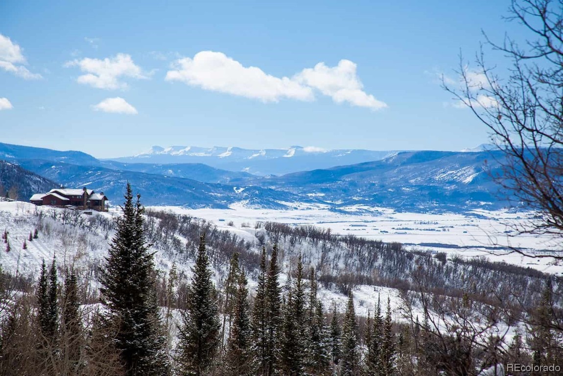 a view of a lake in middle of forest