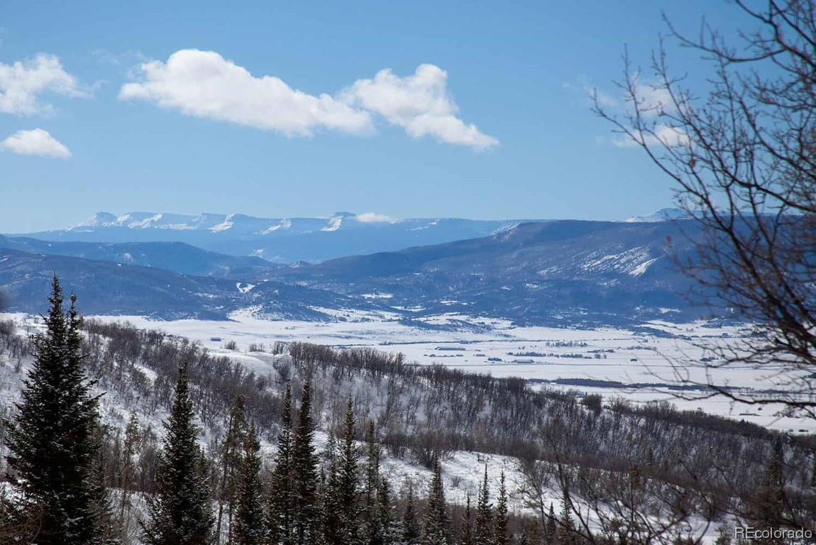 34950 Rockledge Road Steamboat Springs, CO 80487 - Photo 12 of 20 a view of a dry yard
