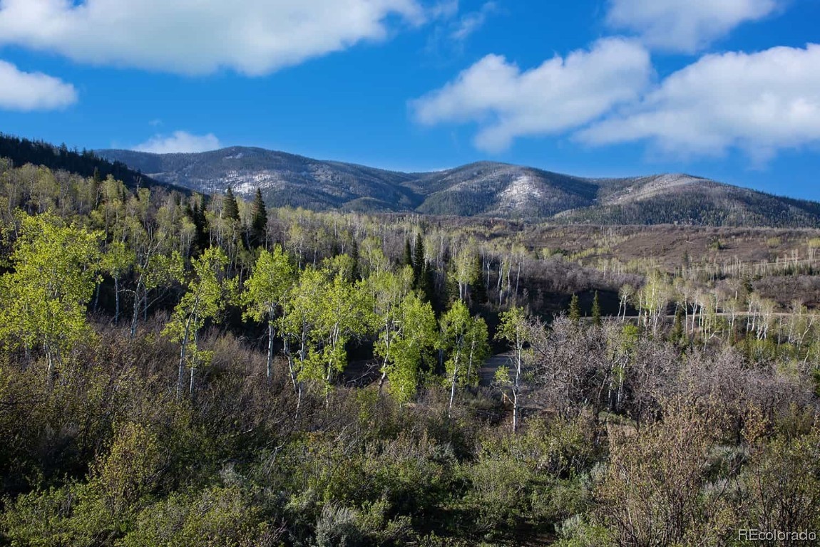 34950 Rockledge Road Steamboat Springs, CO 80487 - Photo 3 of 20 a view of a houses with a yard
