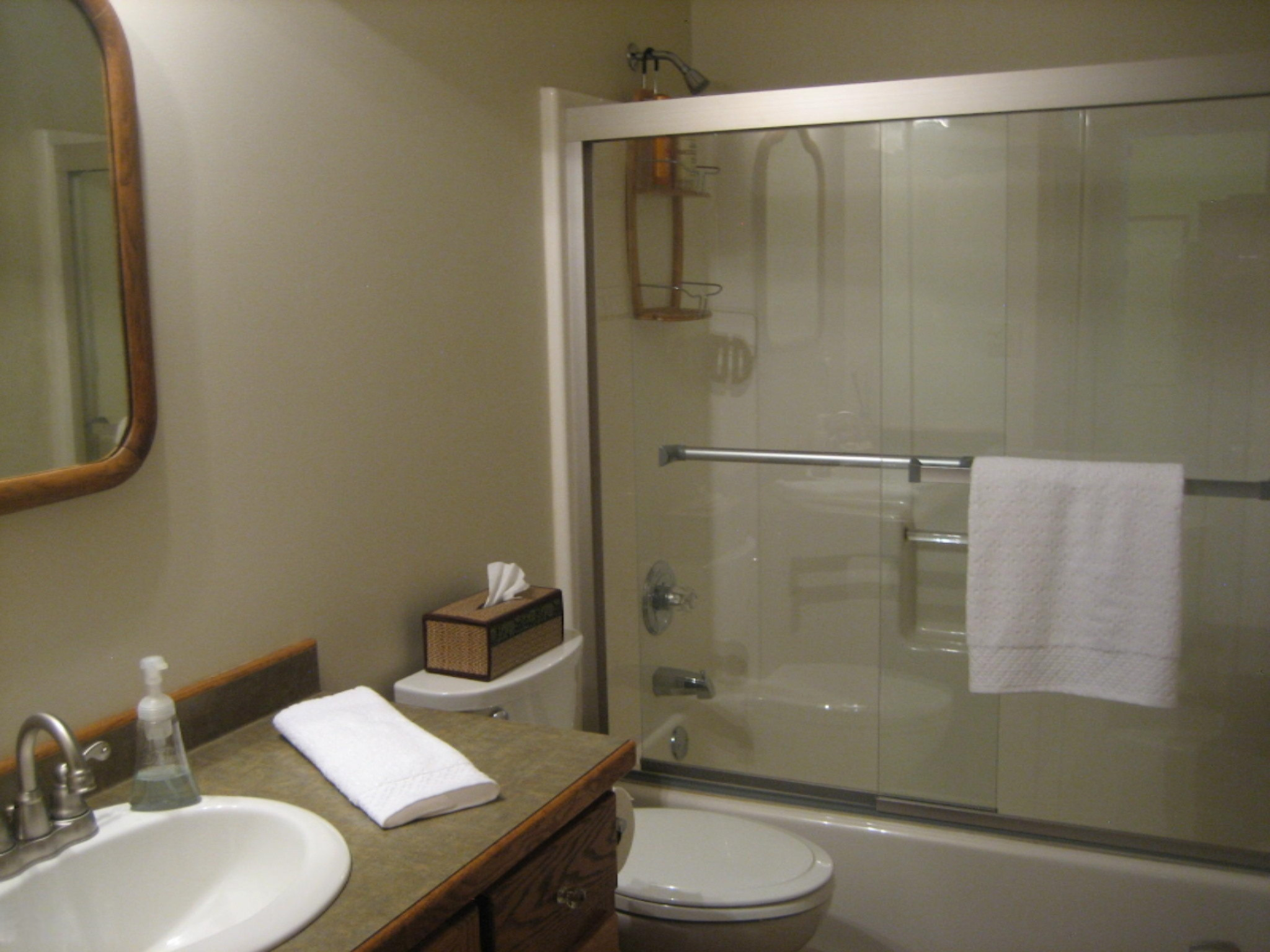 21710 13 Mile Road Bellevue, MI 49021 - Photo 24 of 42 second bath