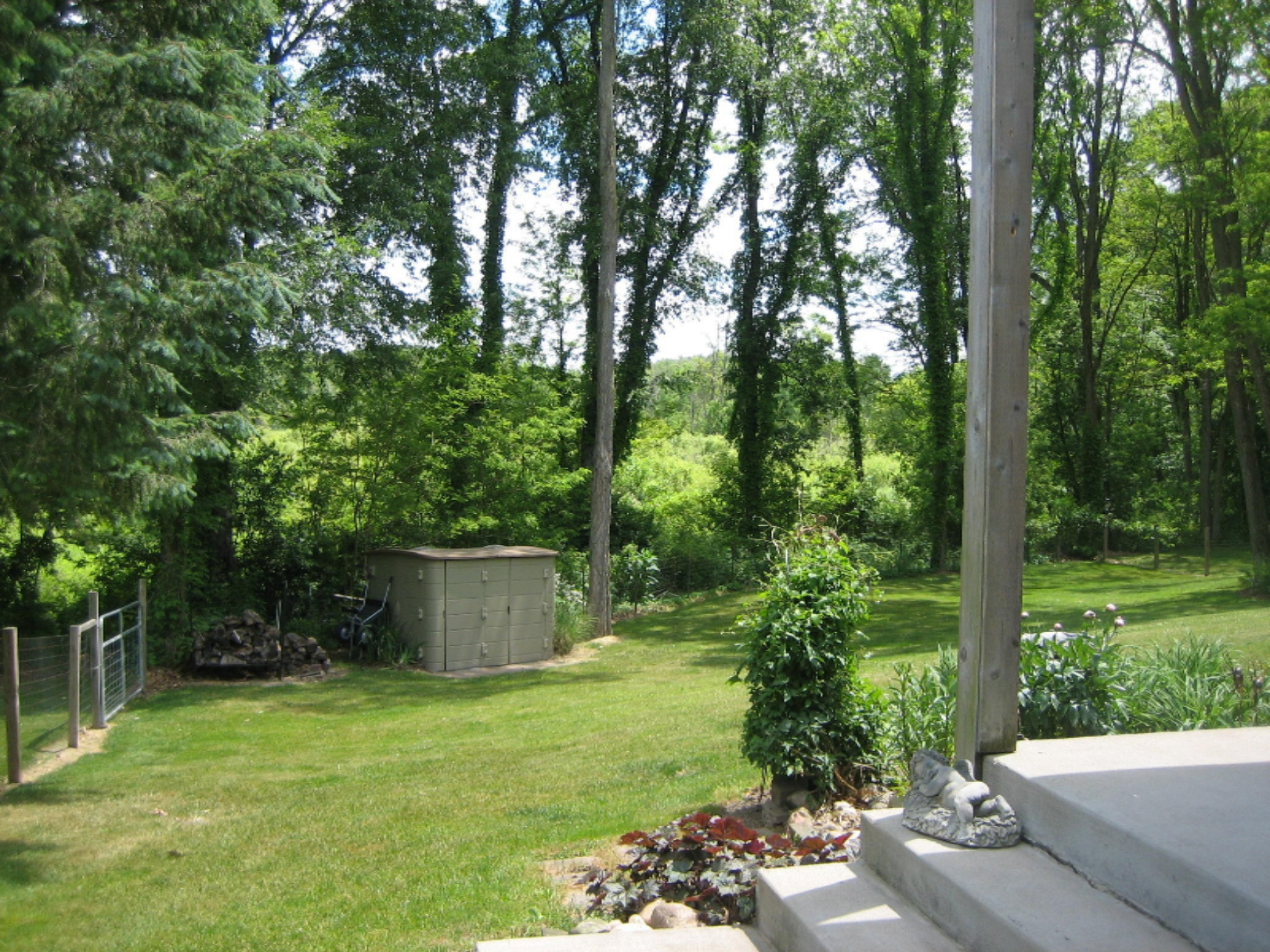 21710 13 Mile Road Bellevue, MI 49021 - Photo 34 of 42 shed sun