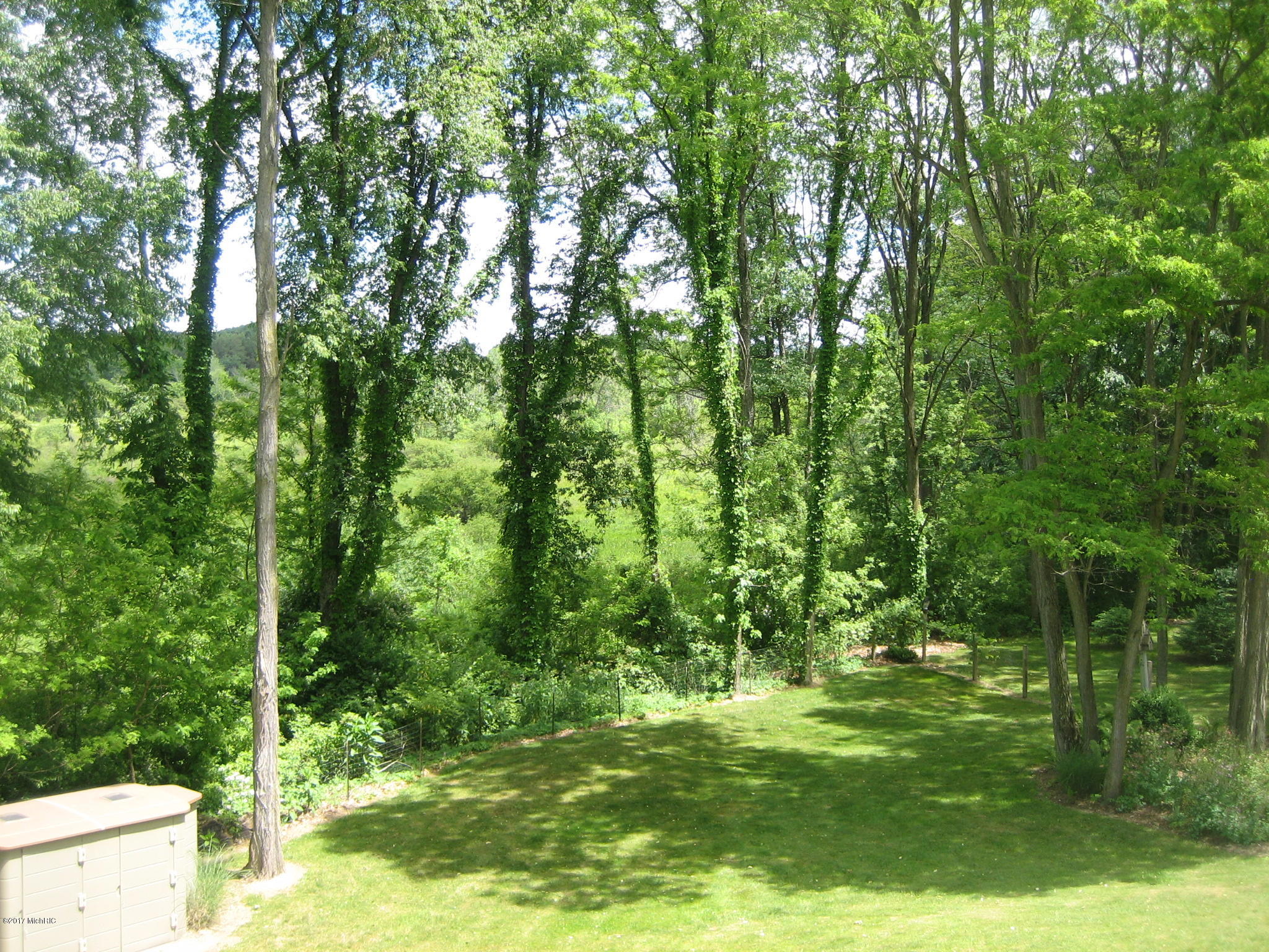 21710 13 Mile Road Bellevue, MI 49021 - Photo 4 of 42 view 1