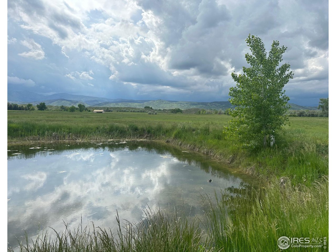 5991 Nelson Road Longmont, CO 80503 - Photo 1 of 7 a view of a street with a yard