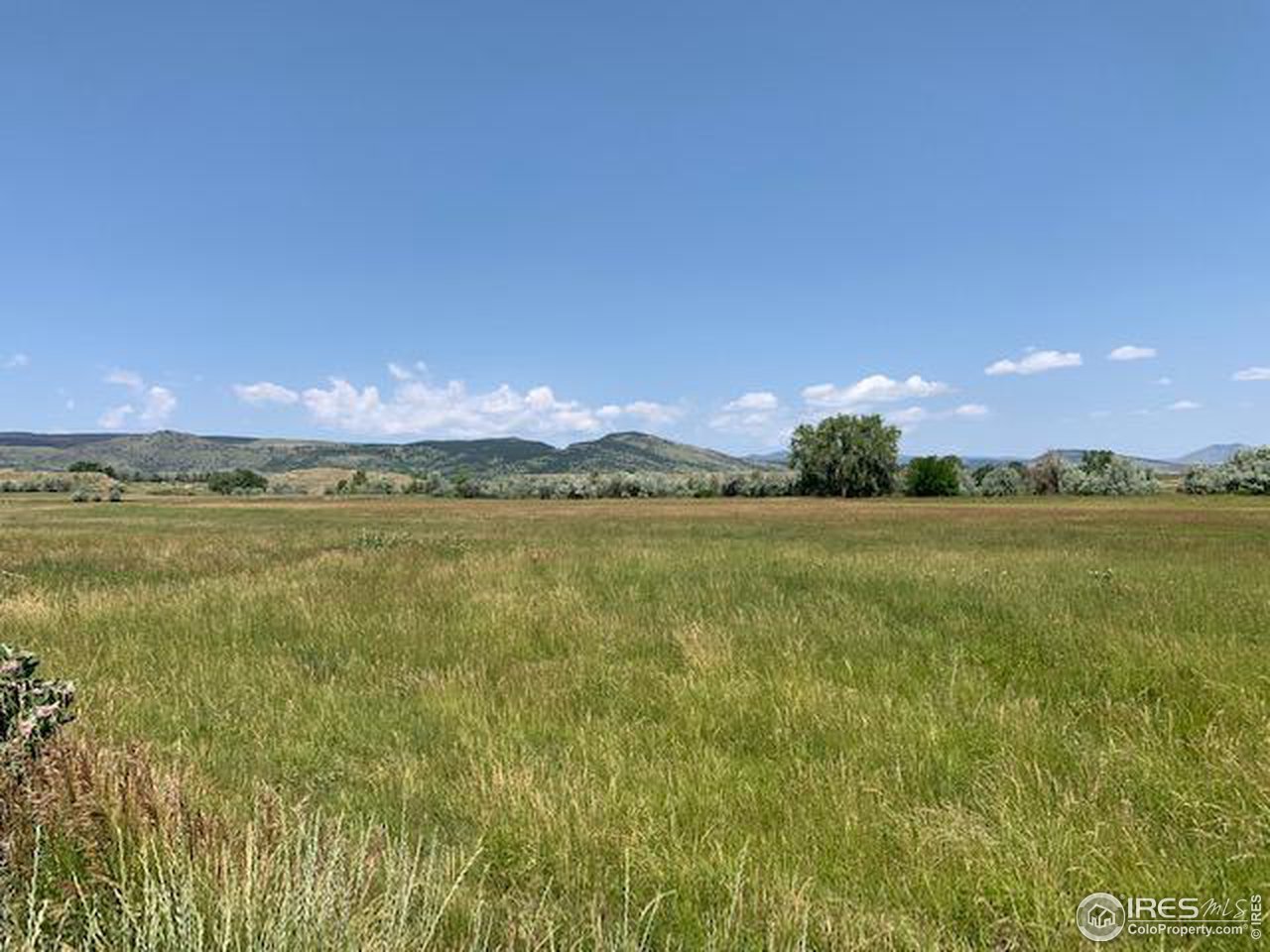 5991 Nelson Road Longmont, CO 80503 - Photo 2 of 7 a view of a lake with a big yard