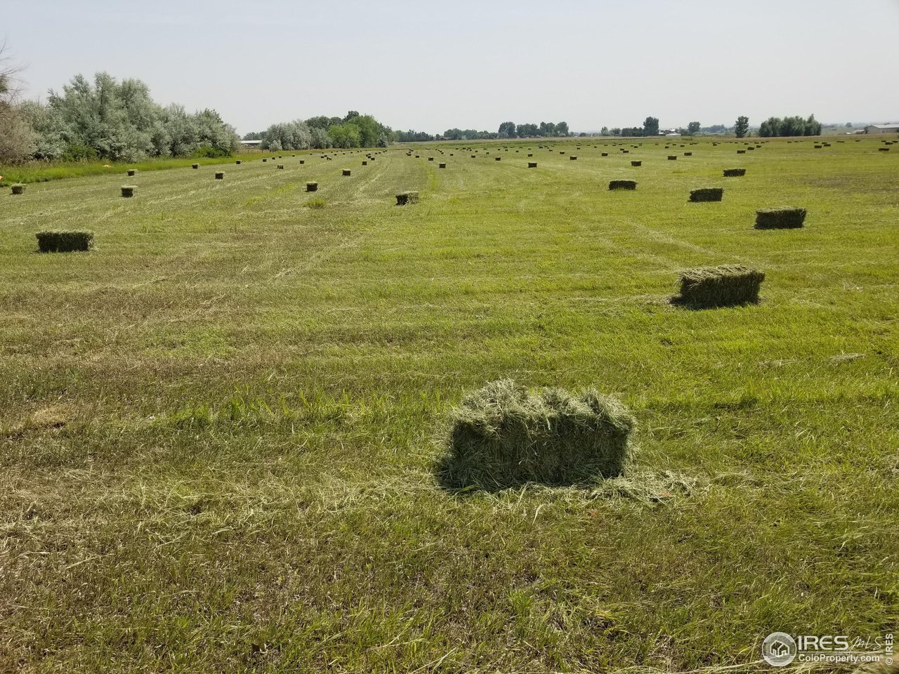 5991 Nelson Road Longmont, CO 80503 - Photo 3 of 7 a view of a large room with lawn chairs