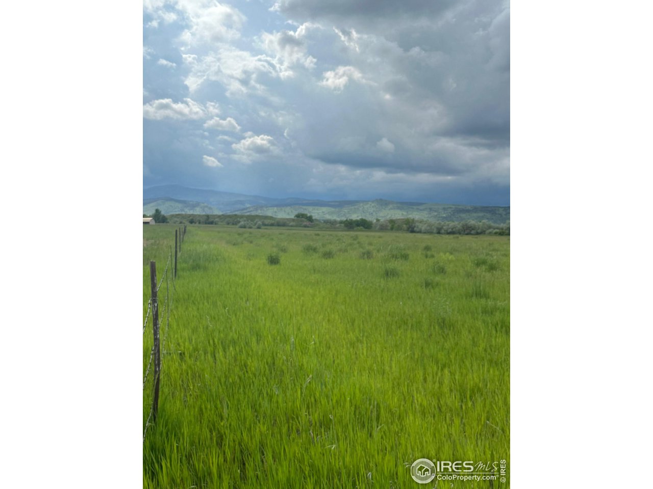 5991 Nelson Road Longmont, CO 80503 - Photo 5 of 7 a view of a yard