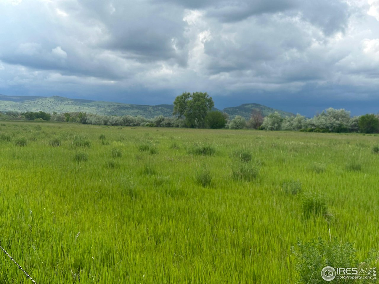 5991 Nelson Road Longmont, CO 80503 - Photo 6 of 7 a view of a green field with trees in the background