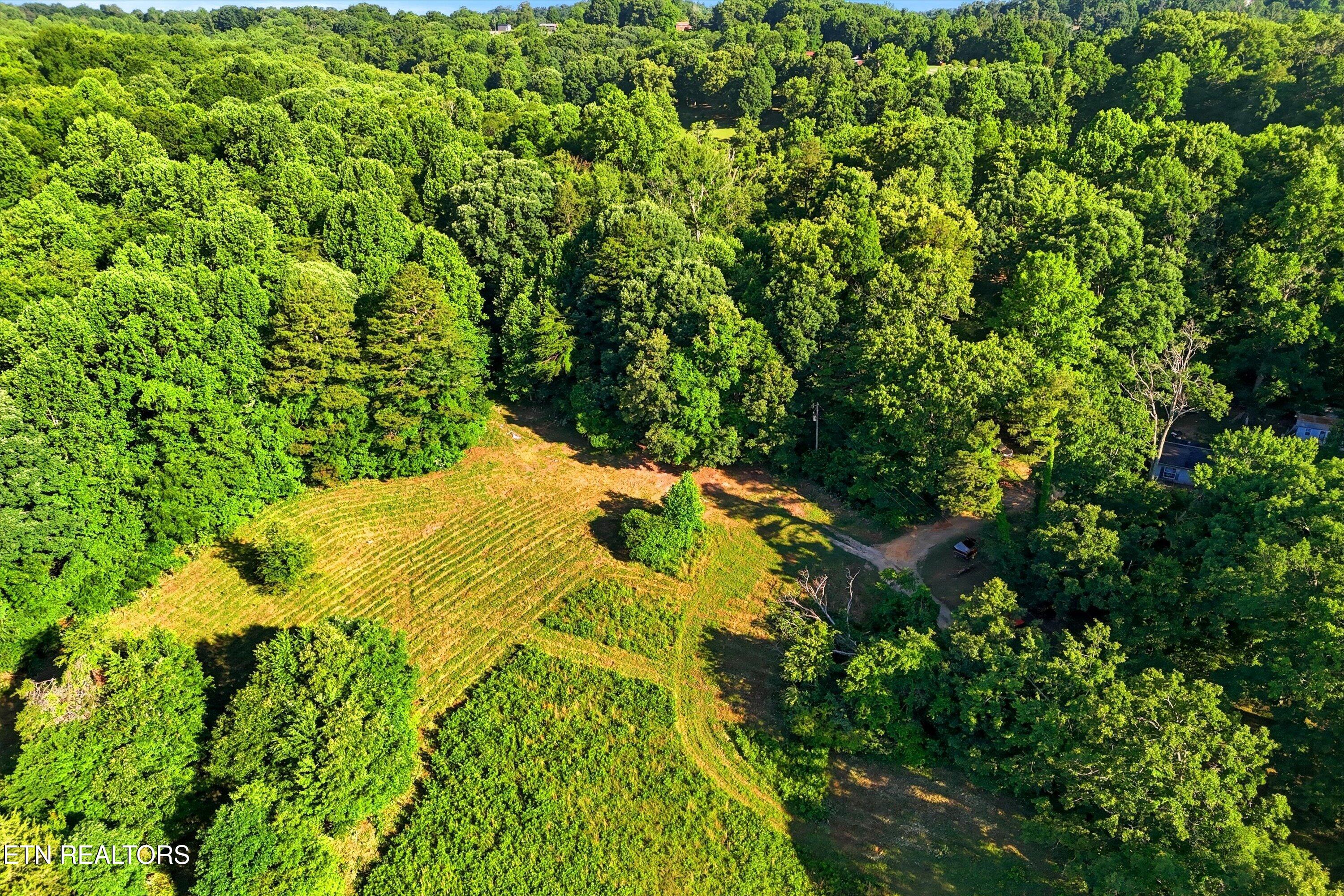0 Daniels Road, Unit 4 Knoxville, TN 37938 - Photo 5 of 54 04-Daniels Rd-4