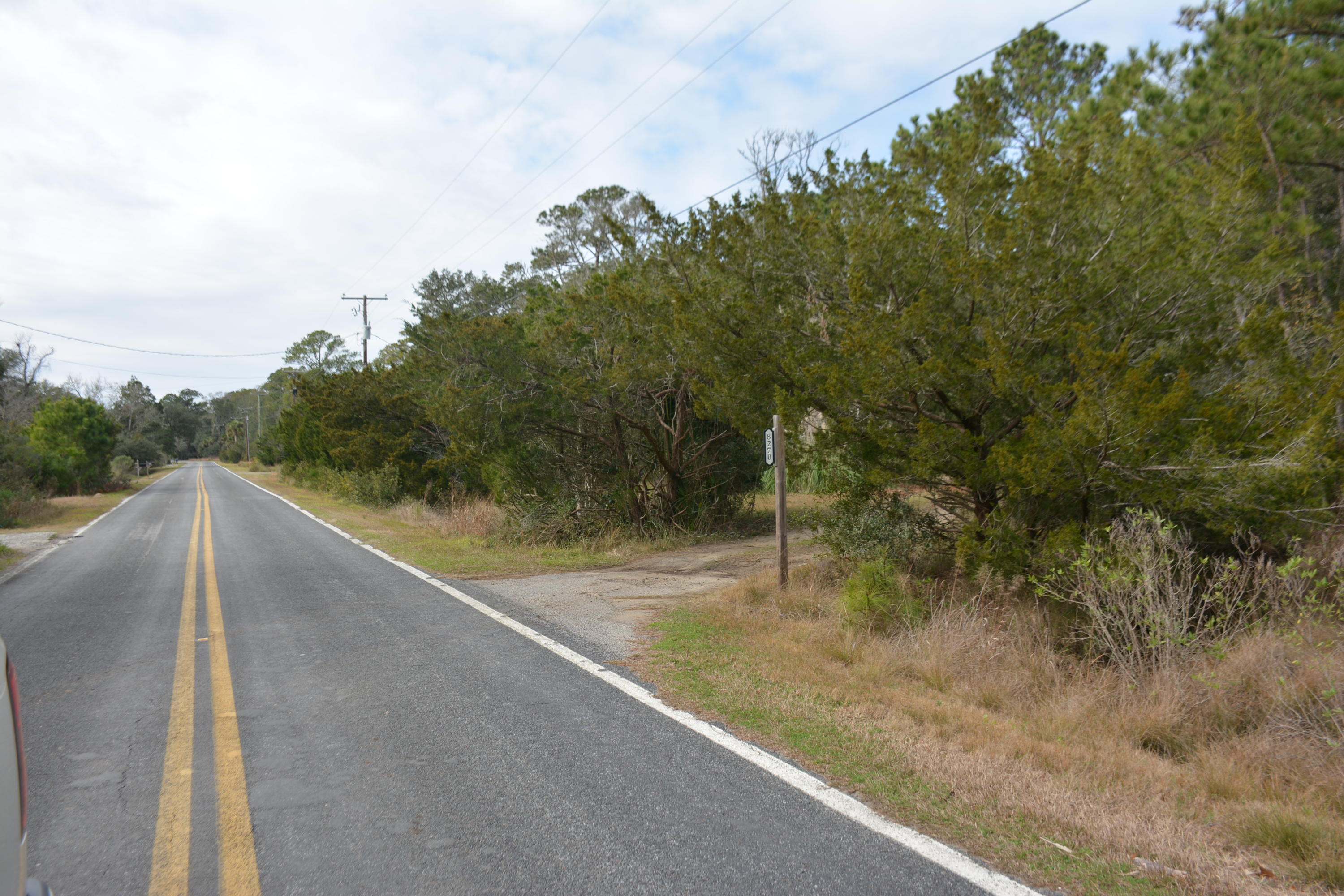 8270 Oyster Factory Road Edisto Island, SC 29438 - Photo 7 of 21 DSC_5910_2949