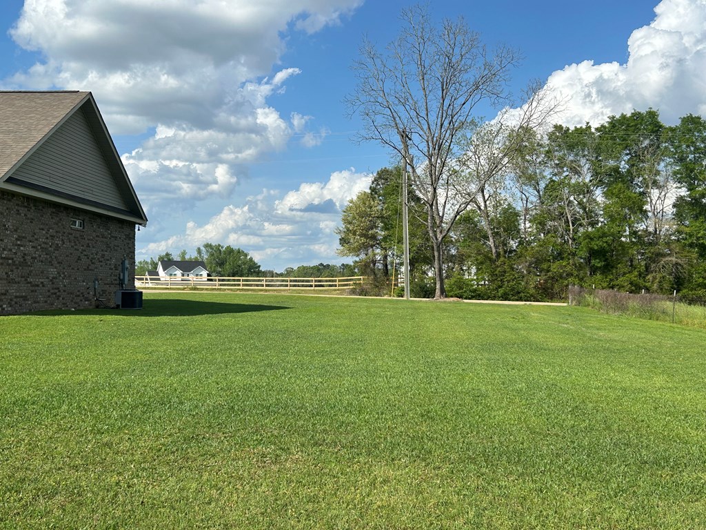 3390 Pansey Road Ashford, AL 36312 - Photo 30 of 32