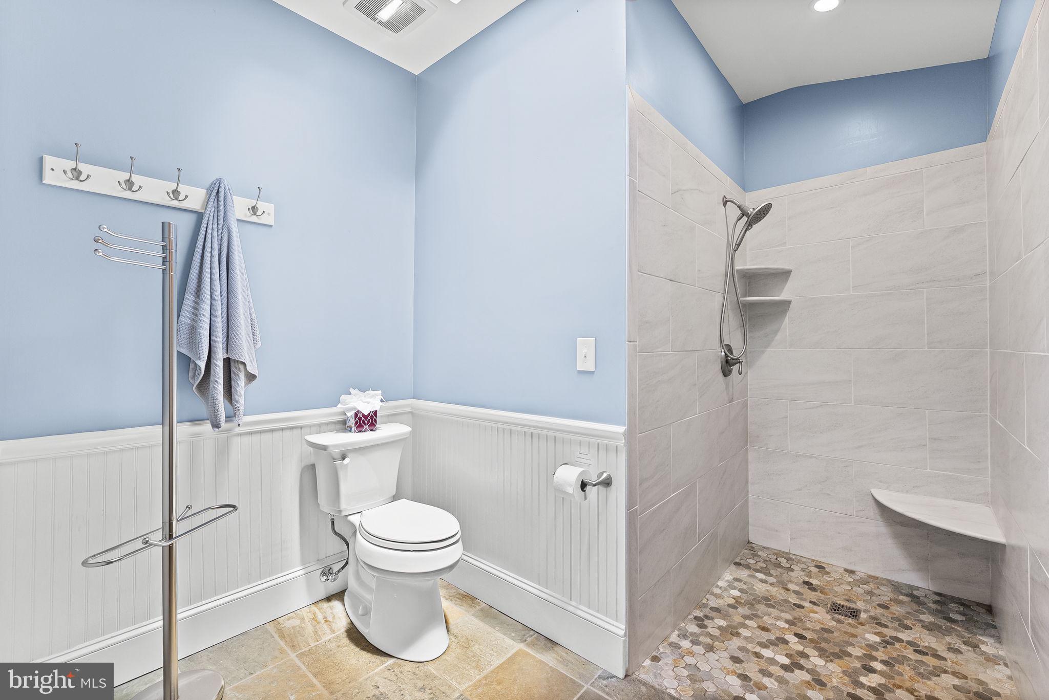 9406 Obannons Mill Road Boston, VA 22713 - Photo 19 of 34 No-lip oversized walk-in shower