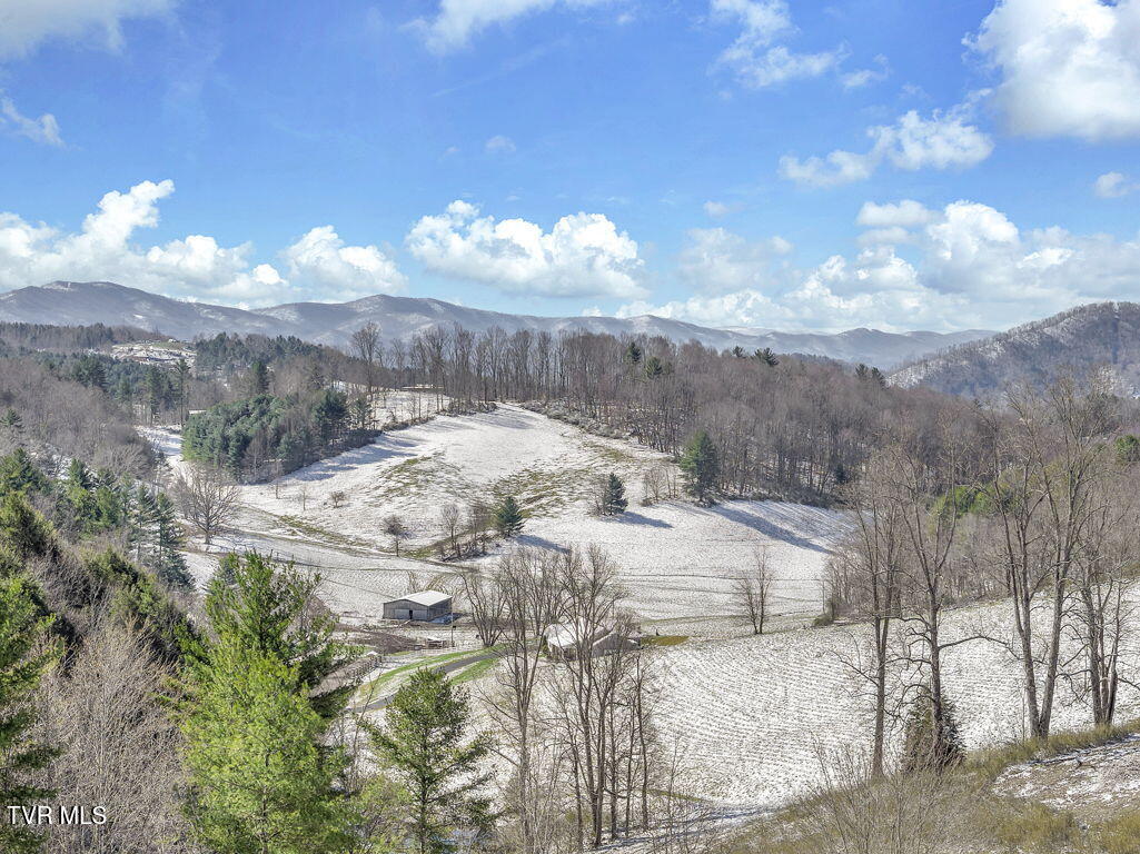 550 Ridgeview Drive Mountain City, TN 37683 - Photo 8 of 46 10-web-or-mls-DJI_20260318105749_0011_D