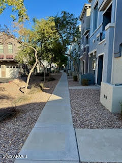 280 South Evergreen Road, Unit 1301 Tempe, AZ 85288 - Photo 3 of 48 Front walk