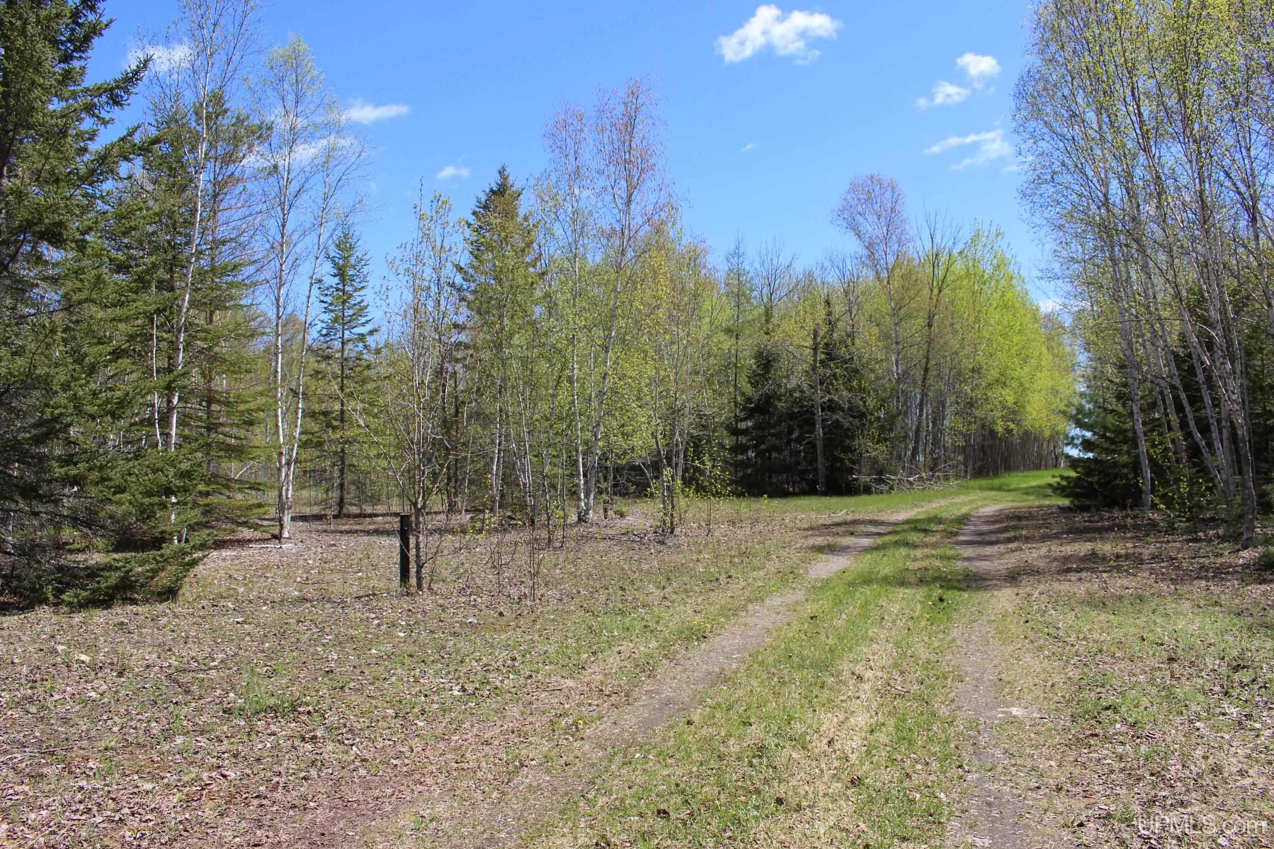23.5 Rd Gladstone Mi 49837 Road Gladstone, MI 49837 - Photo 5 of 50