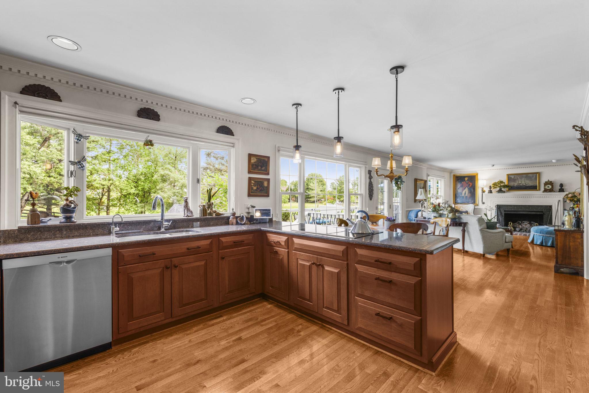 21185 St Louis Road Middleburg, VA 20117 - Photo 16 of 83