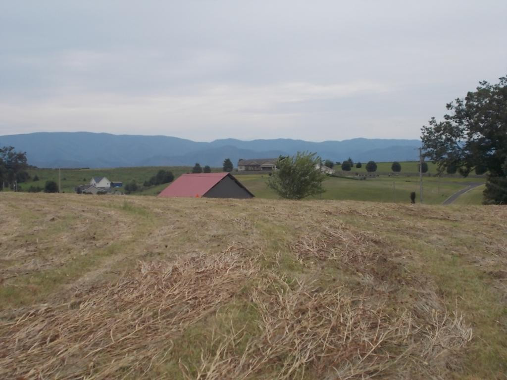 0 Earnest Road, Unit 12 Chuckey, TN 37641 - Photo 13 of 28 Photo 13
