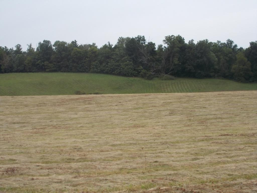 0 Earnest Road, Unit 12 Chuckey, TN 37641 - Photo 17 of 28 Photo 17
