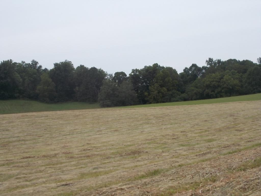 0 Earnest Road, Unit 12 Chuckey, TN 37641 - Photo 6 of 28 Photo 6