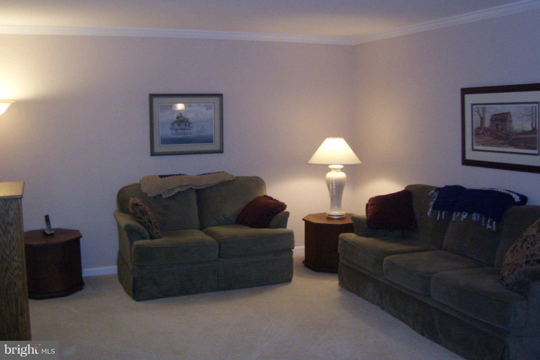 5115 Griffith Road Gaithersburg, MD 20882 - Photo 2 of 11 Living Room