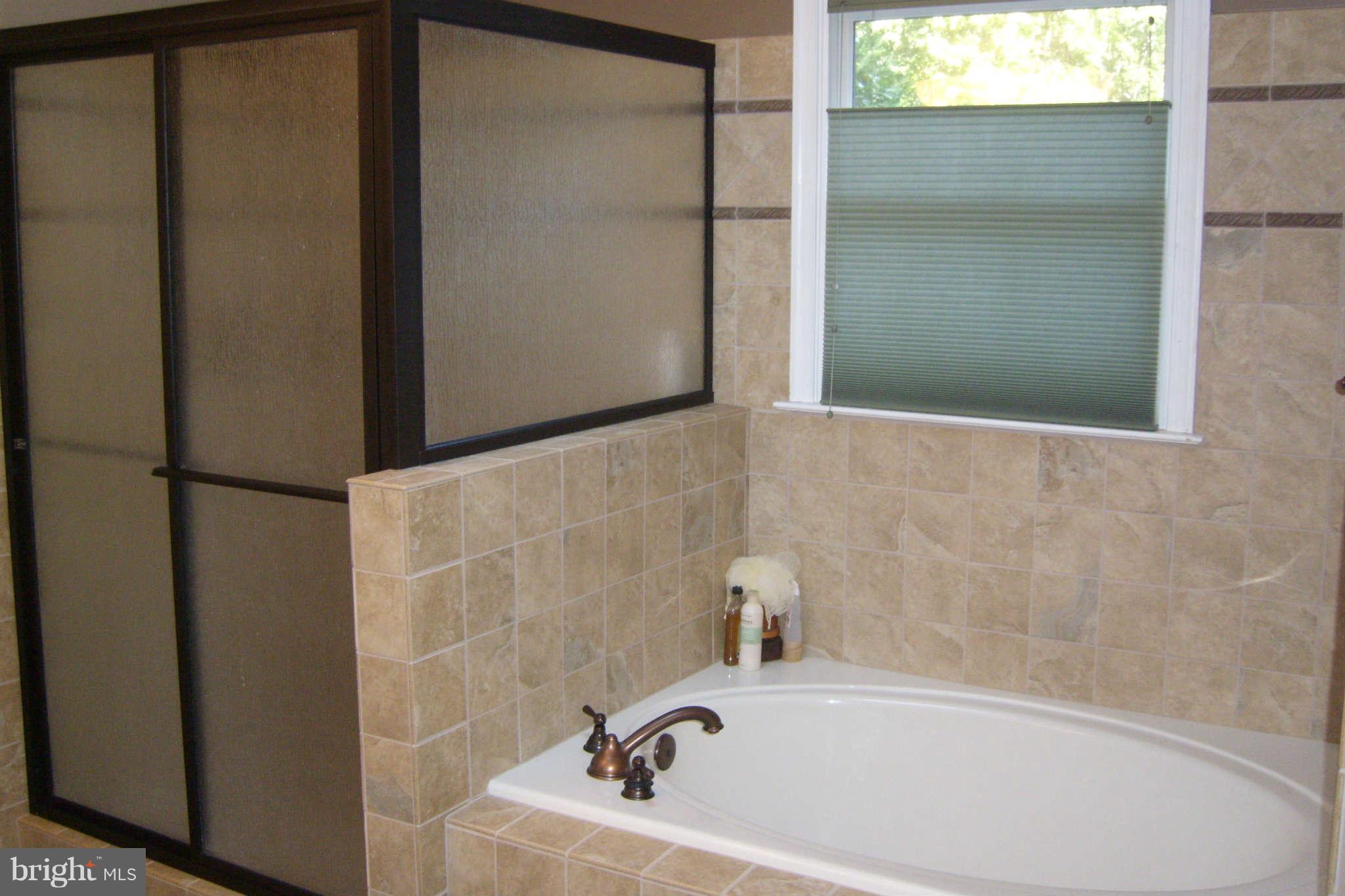 5115 Griffith Road Gaithersburg, MD 20882 - Photo 7 of 11 Bath (Master)