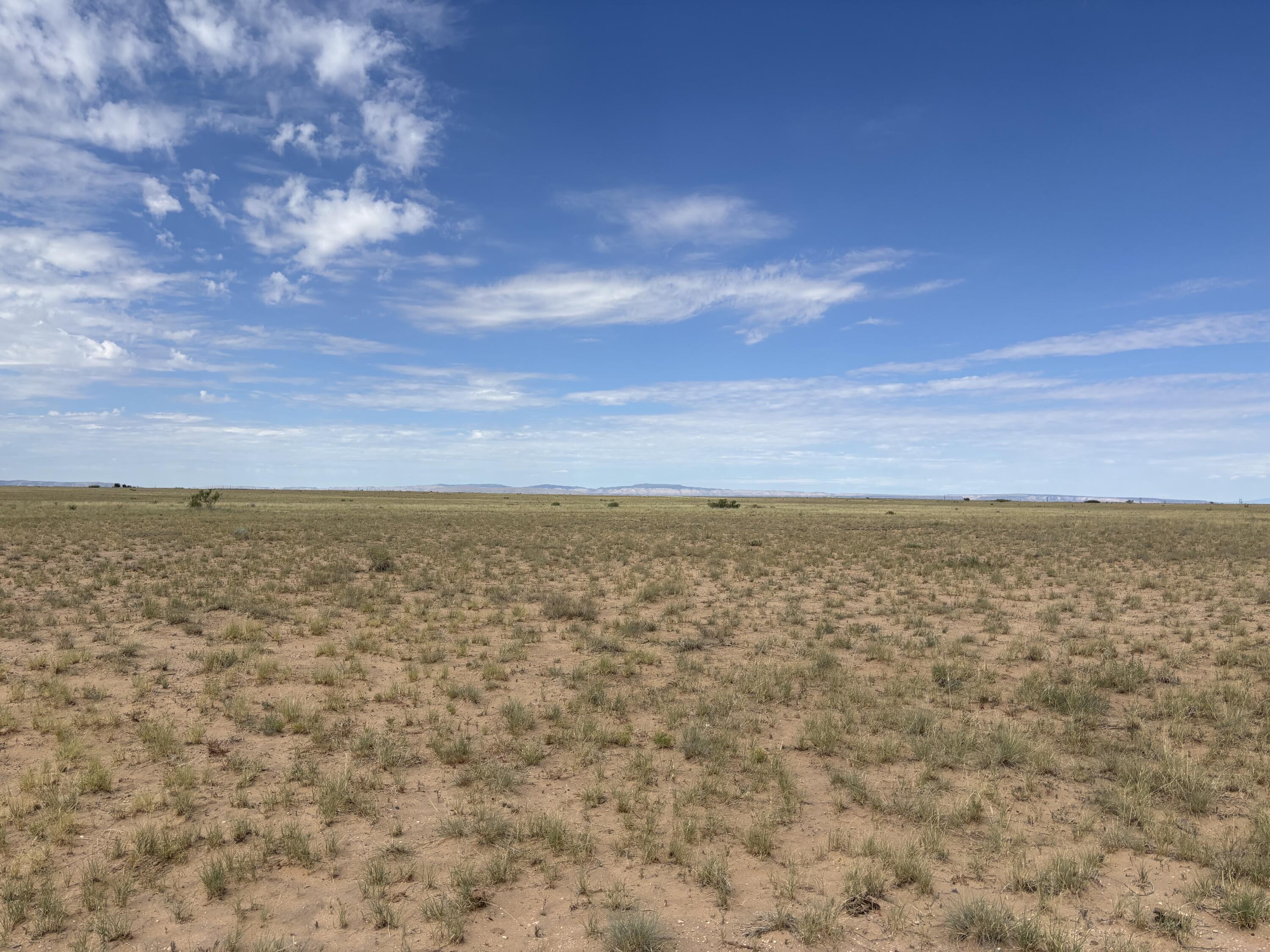Ogaz Road Belen, NM 87002 - Photo 2 of 6 Gallery Image 2