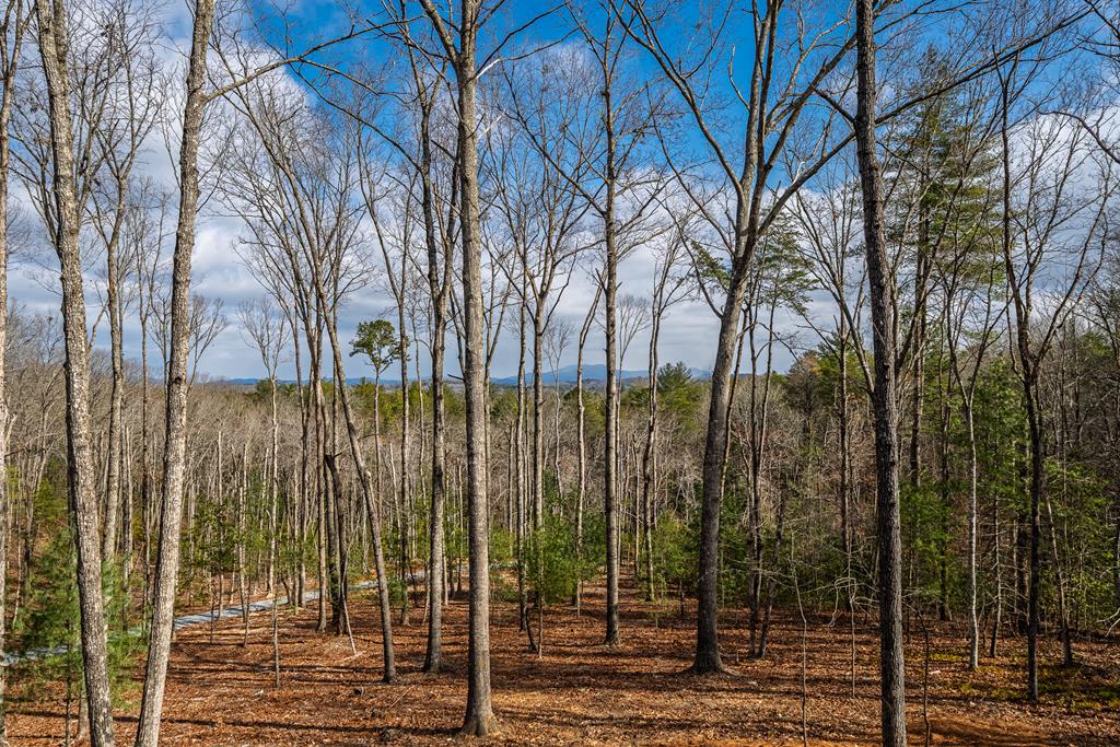 345 Big Oak Lane Blue Ridge, GA 30513 - Photo 54 of 78 Gallery Image 54