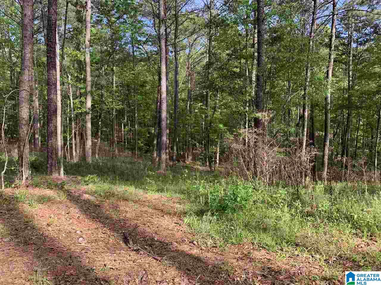 1585 Rex Lake Road, Unit 1585 Leeds, AL 35094 - Photo 4 of 16