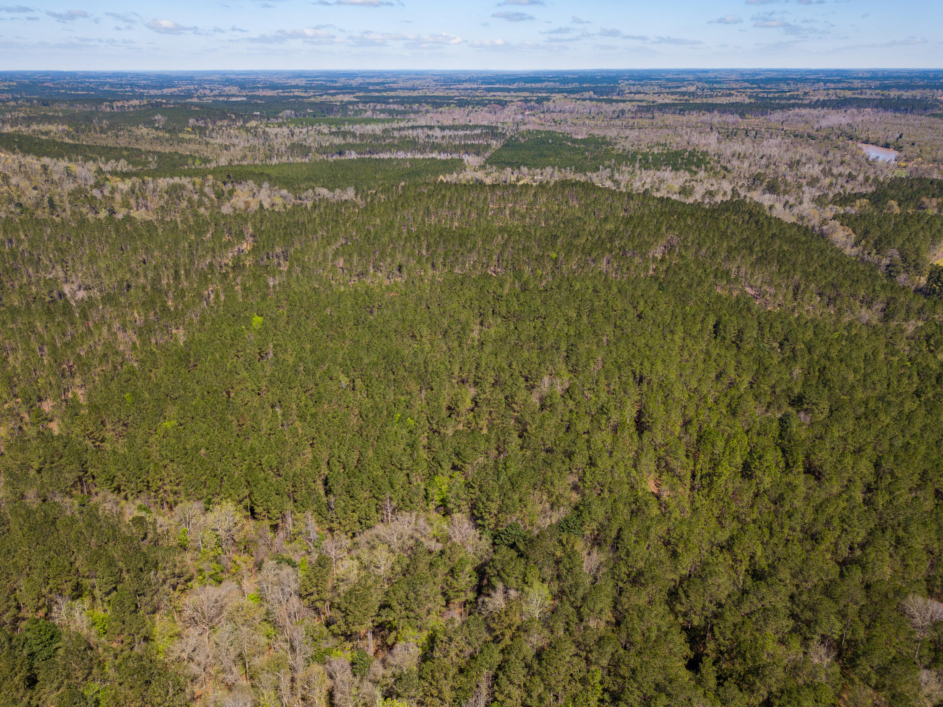 Lot 7 Timothy Road Ellisville, MS 39437 - Photo 26 of 29 Gallery Image 26