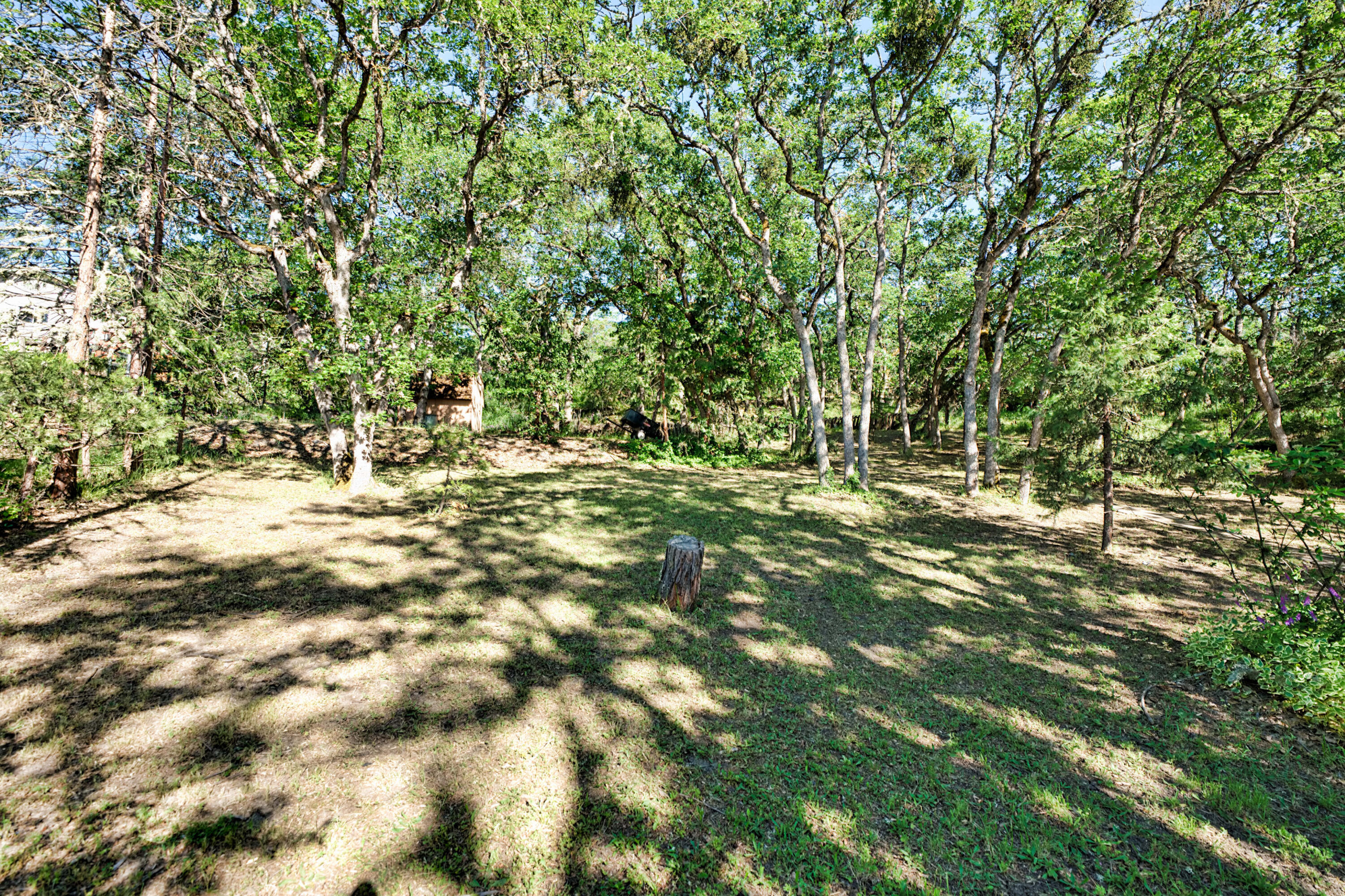 3488 North Foothill Road Medford, OR 97504 - Photo 20 of 47 Backyard 5
