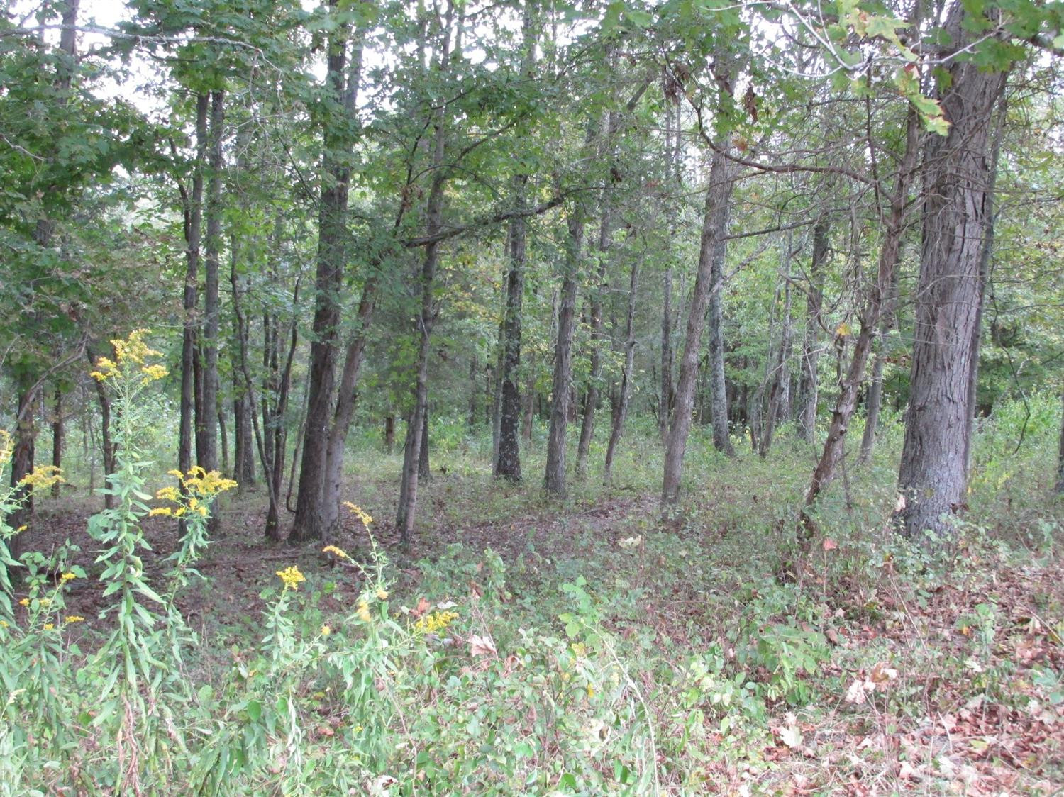 593 Center Ridge Road De Mossville, KY 41033 - Photo 9 of 26 Gallery Image 9